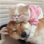 Avatar of Nimra Hussain